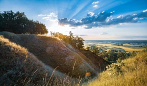 Wartość tego jak kupić artykuł sponsorowany