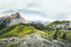 Parę ciekawostek o OSK