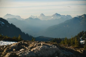 Na zakupy po porodzie- co kupić?